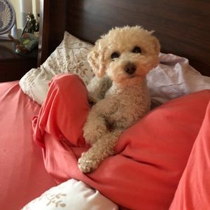 Meet your Posher, Barbara